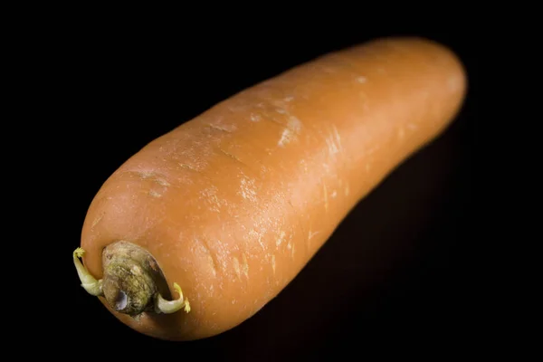close up macro detail carrot on black background