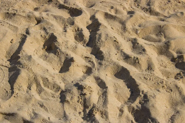 砂浜のマクロ写真をクローズ アップ — ストック写真