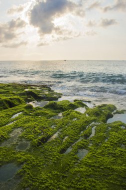 güzel bir plaj görünümü yaz tatil fotoğraf