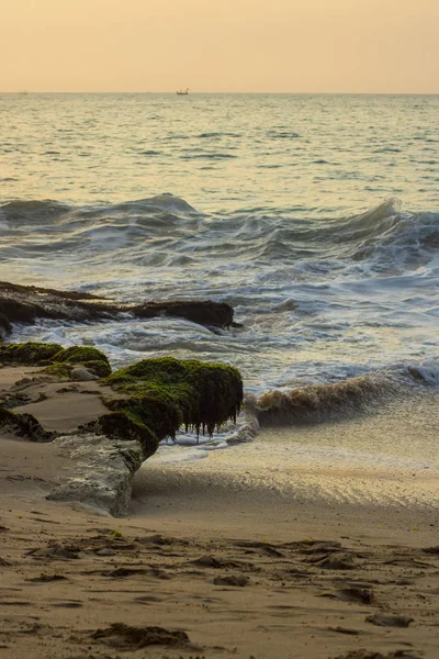 Güzel Bir Plaj Görünümü Yaz Tatil Fotoğraf — Stok fotoğraf