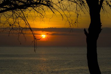 günbatımı güzel doğal görünümünü Beach