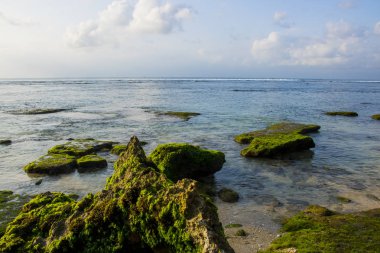 güzel bali beach sahne fotoğraf