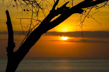 günbatımı güzel doğal görünümünü Beach