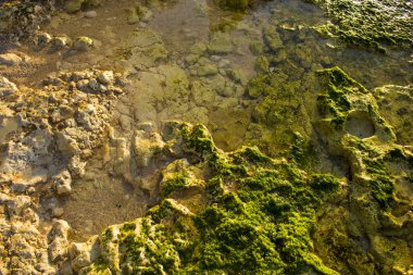 güzel bir plaj görünümü yaz tatil fotoğraf