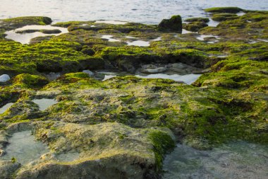güzel bali beach sahne fotoğraf