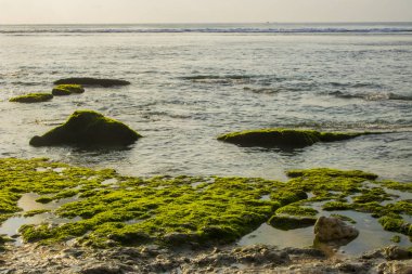 güzel bali beach sahne fotoğraf