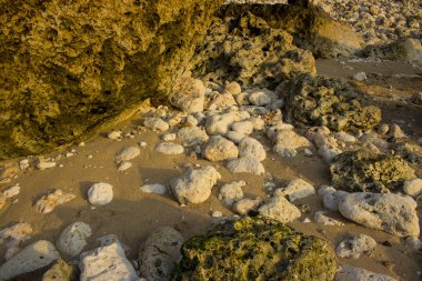 güzel bali beach sahne fotoğraf