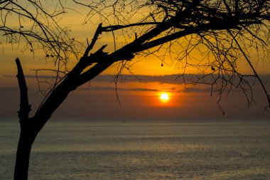günbatımı güzel doğal görünümünü Beach