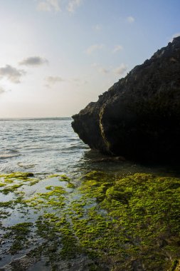 güzel bali beach sahne fotoğraf