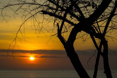günbatımı güzel doğal görünümünü Beach