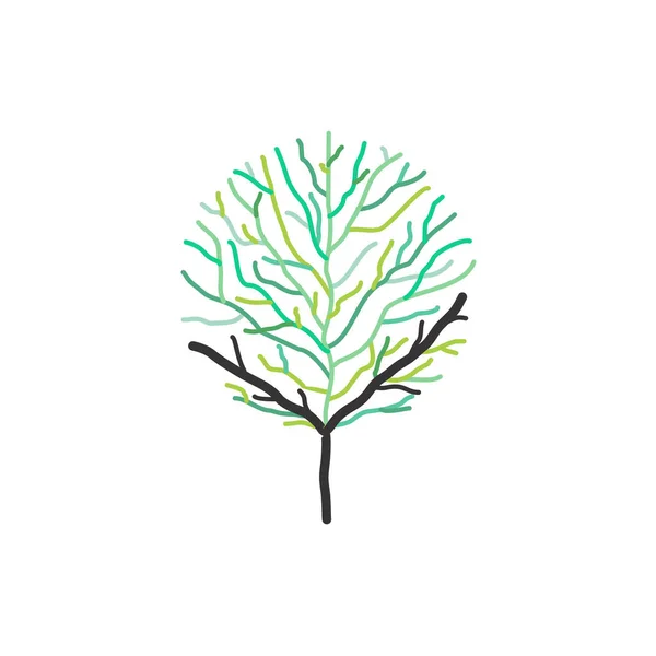 Ilustracja Wektorowa Kolorowe Drzewa Oddziałów Białym Tle — Wektor stockowy
