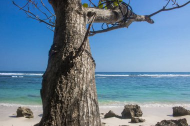 güzel yaz plaj görünümü fotoğraf