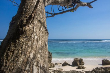 güzel yaz plaj görünümü