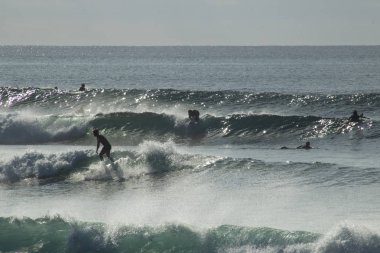 güzel yaz plaj sörf ü