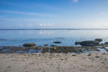 yaz tatili plaj mavi gökyüzü