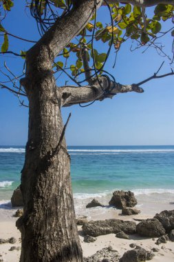 güzel yaz plaj görünümü