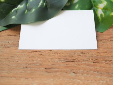 Boş beyaz etiket yeşil yapraklar ile dekore edildi kopyalama alanı ile ahşap bir tablo üzerinde metin için boşluk