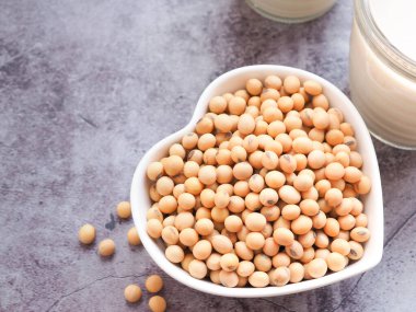 Kalp şeklinde bir kasede soya fasulyesini kapayın. Gri beton arka planda soya sütü olsun. Bitki proteini. Metin için alanı kopyala.