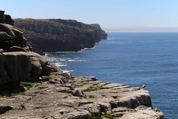 Peniche, Portekiz'deki güzel sahil şeridi, muhteşem kaya oluşumları ve kayalıkları ile.