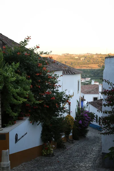 Portekiz'in tarihi ortaçağ kasabası Obidos'ta küçük sokaklar. 