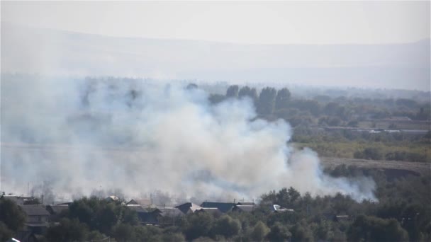 Oheň Začátku Podzimu Požár Nachází Poblíž Obytný Oblasti Kouř — Stock video