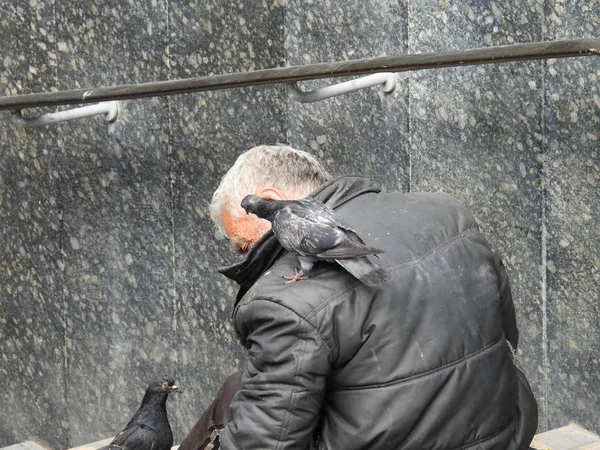bir ev olmadan yaşlı adam, altgeçit yakınındaki merdivenlerde kuşlar besler