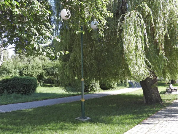 şehir parkı sokak rekreasyon alanı, ağaçlar, sokak lambası, yaz güneşli gün