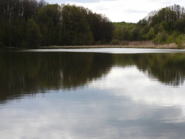 Nature Dehors Ville Étang Forêt Collines Été — Photo