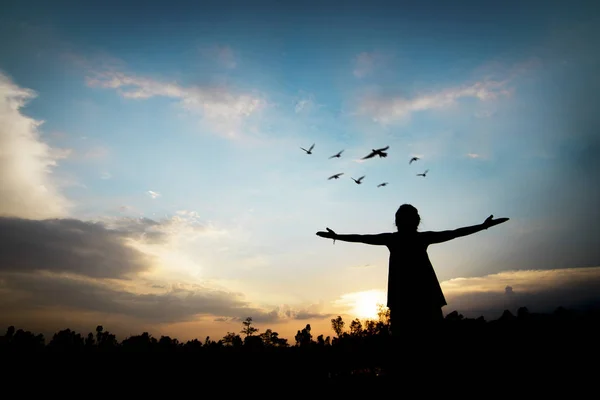 Silhouette Menschen Zeigen Hand Mit Freiheit Und Erfolg Bei Sonnenschein — Stockfoto