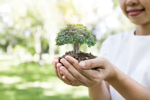 Nap Mentse Környezet Fogalmát Önkéntes Nők Gazdaság Kis Növénytermesztés Saplin — Stock Fotó