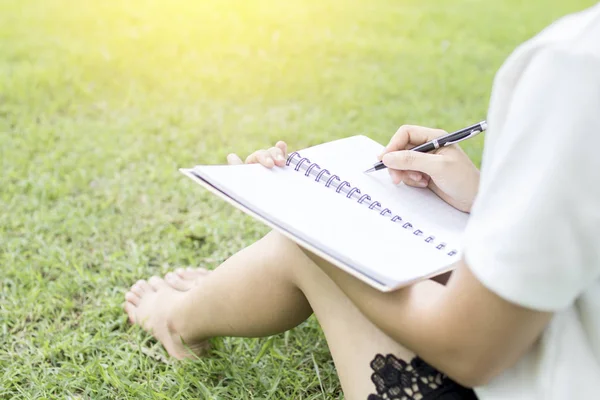 under yeşil çimenlerin üzerinde dizüstü bellek yazma kadınlar 