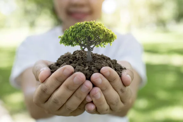 Világ Környezetvédelmi Nap Környezetvédelmi Koncepció Önkéntes Nők Gazdaság Növény Csemete — Stock Fotó
