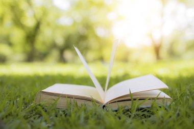 Yeşil çimenler, bilgi ve eğitim konsepti üzerine kitap açılışı
