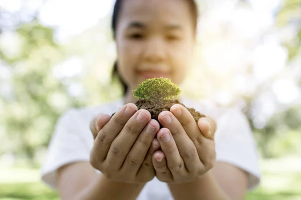 World environment day and save environment concept, volunteer women holding plant growing, sapling in par