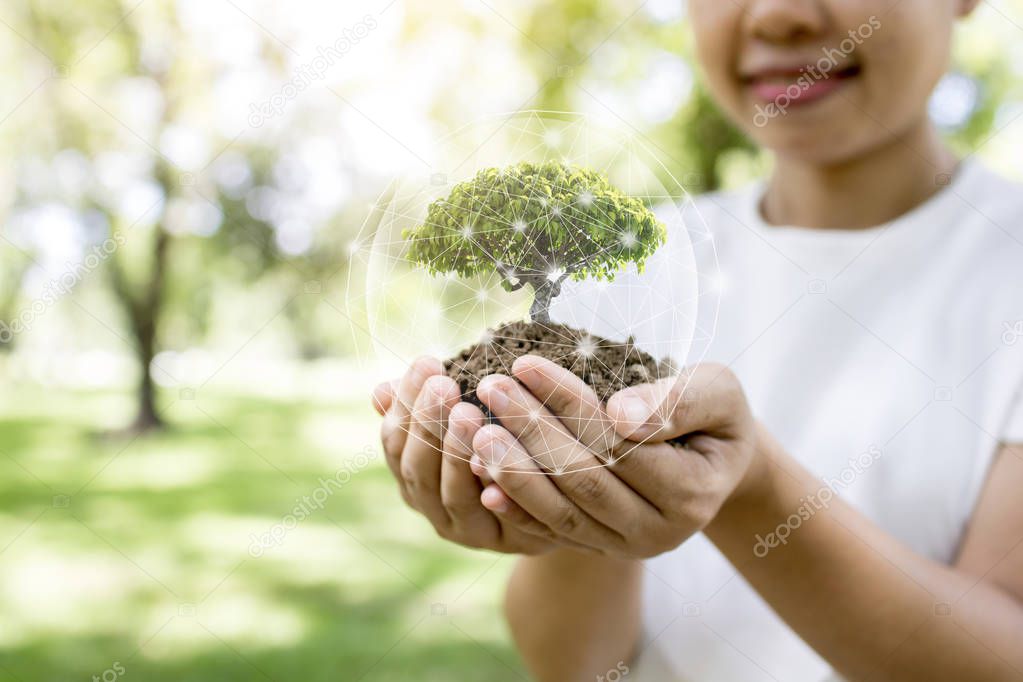save world and innovation concept, girl holding small plant or tree sapling are growing up from soil on palm with connection line and glove around.