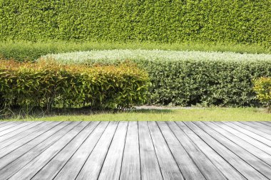 Eski koyu ahşap masa veya zemin bahçesinde bulunan yeşil bitki, ürün sunmak için kullanılabilir.