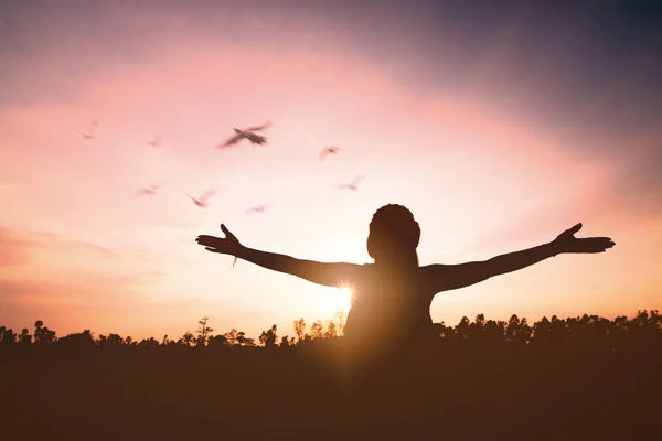 Silhouette Glückliche Frau Die Vögel Himmel Sommersonnenuntergang Freilässt Freiheit Und — Stockfoto