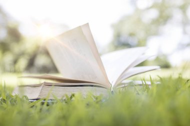 yeşil çimen, öğrenme ve bilgi kavramı kitap.