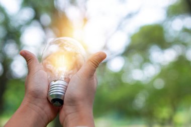 save power and good energy for nature, hand holding light bulb i
