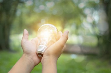 save power and good energy for nature, hand holding light bulb i