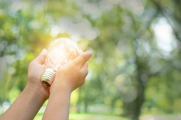 save power and good energy for nature, hand holding light bulb i