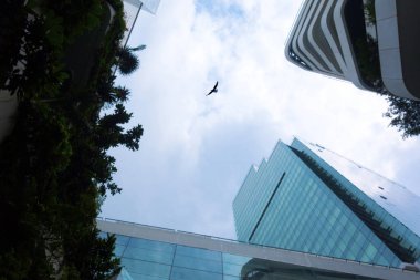 Gökyüzü, kuşlar ve binalar