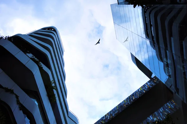 Sky Birds Buildings — Stock Photo, Image