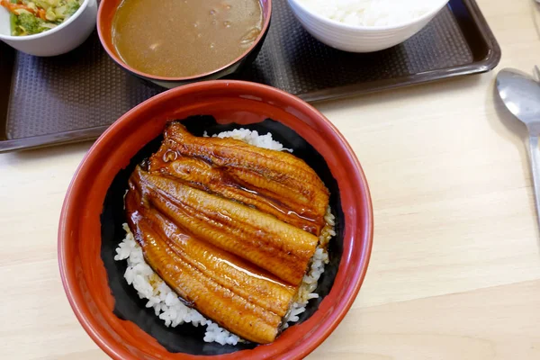 Anguille Grillée Sur Riz Japon — Photo