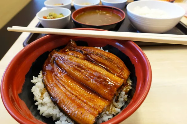 Japonya Pirinç Izgara Yılan Balığı — Stok fotoğraf