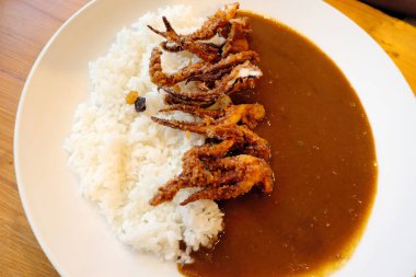 Pirinç köri Japon tarzı kızartılmış kalamar tentacles.