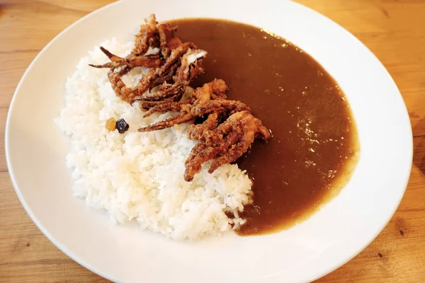 Reis Curry Japanischen Stil Gebratene Tintenfische Tentakel — Stockfoto