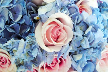 Arka planı için pastel çiçek