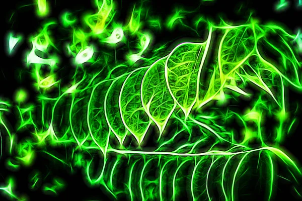 Зелений Абстрактний Візерунок Фон — стокове фото