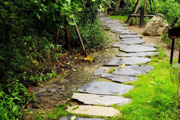 Stone Promenad Den Tropiska Skogen — Stockfoto